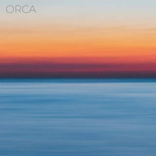 Orca