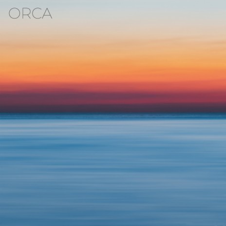 Orca