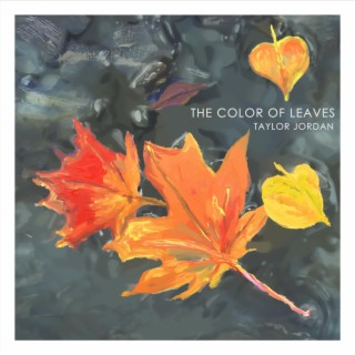 The Color of Leaves