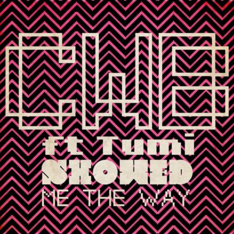 Showed Me the Way (Radio Edit) ft. TUMI | Boomplay Music