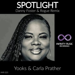 Spotlight (Danny Foster & Rogue Remix)