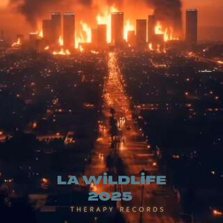 LA WILDFIRE 2025 (Official Audio)