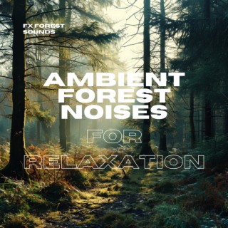 Ambient Forest Noises for Relaxation