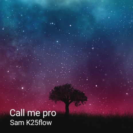 Call me pro (feat. Leyweezy)