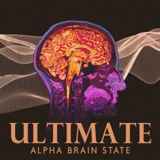 Ultimate Alpha Brain State: Binaural Audio Meditation, Mind Control, Super Power Focus & Memory Boost (40Hz Meditation)