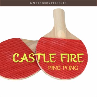 Castle Fire