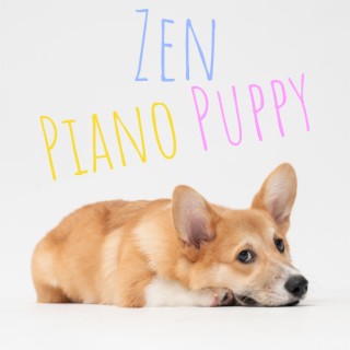 Zen Piano Puppy