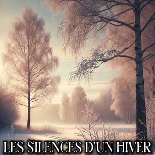 Les Silences D’un Hiver