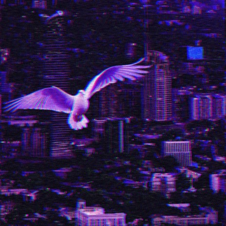 city dove (birthday edit)