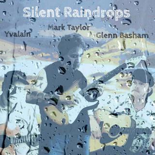 Silent Raindrops