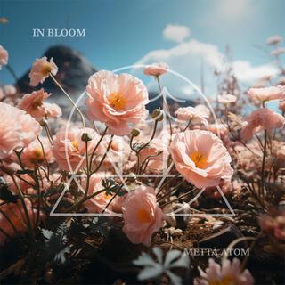 In Bloom