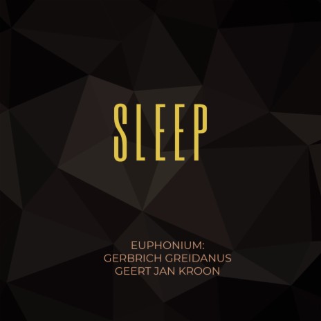 Sleep ft. Geert Jan Kroon | Boomplay Music