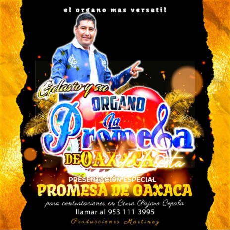 CUMBIA PROMESA ft. SU PROMESA DE OAXACA