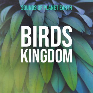 Birds Kingdom