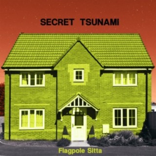 Secret Tsunami