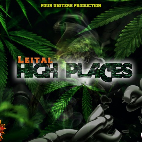 High Places ft. Leital | Boomplay Music