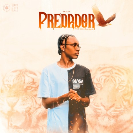 Predador ft. Black box beatz | Boomplay Music