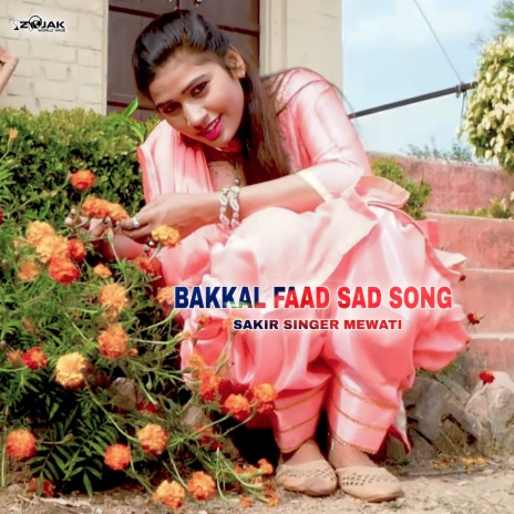 Bakkal Faad Sad Song (Mewati) | Boomplay Music