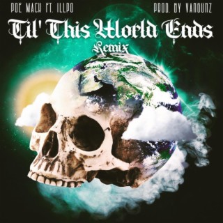 Till The World Ends (Remix)