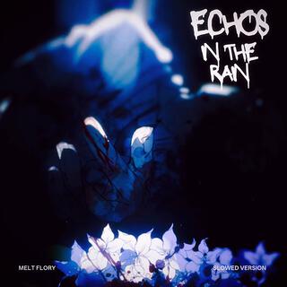 Echos in the rain (Slowed) lyrics | Boomplay Music