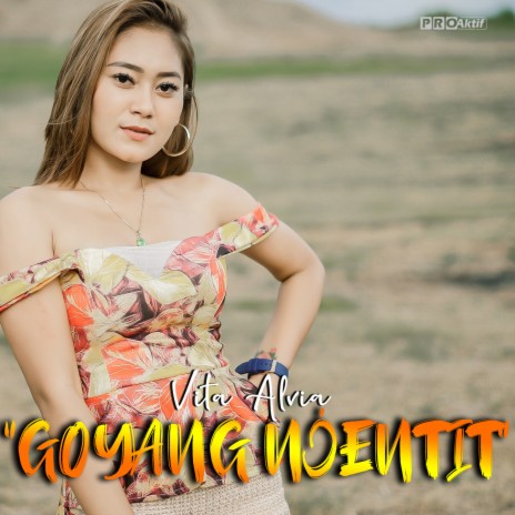 Goyang Njentit | Boomplay Music