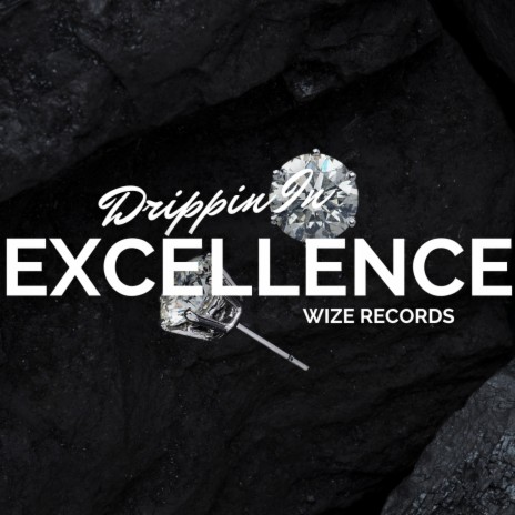 Drippin In Excellence | Boomplay Music