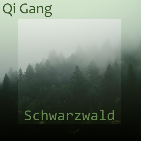 Schwarzwald | Boomplay Music
