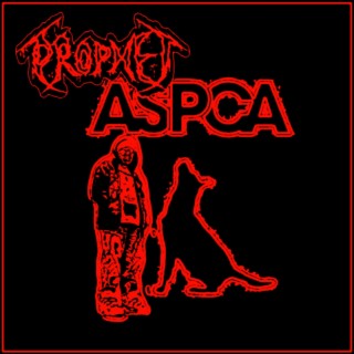 ASPCA FREESTYLE