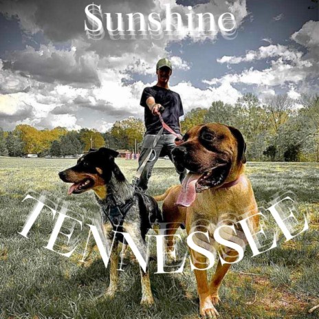 Tennessee | Boomplay Music