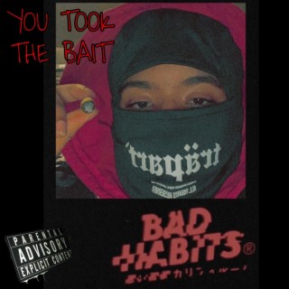 You Took The Bait lyrics | Boomplay Music