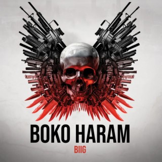 Boko Haram