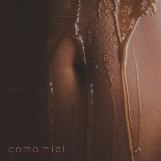 Como Miel ft. VFerg & Josh Boucicaut lyrics | Boomplay Music