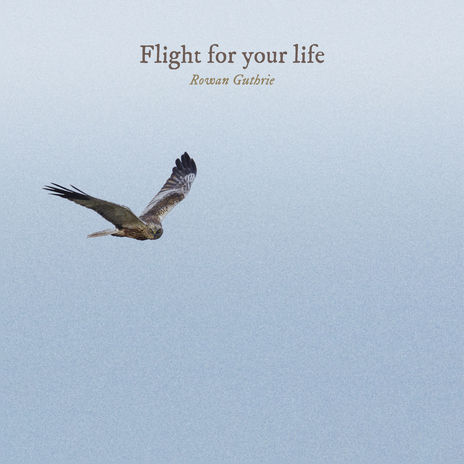 Flight for your life | Boomplay Music