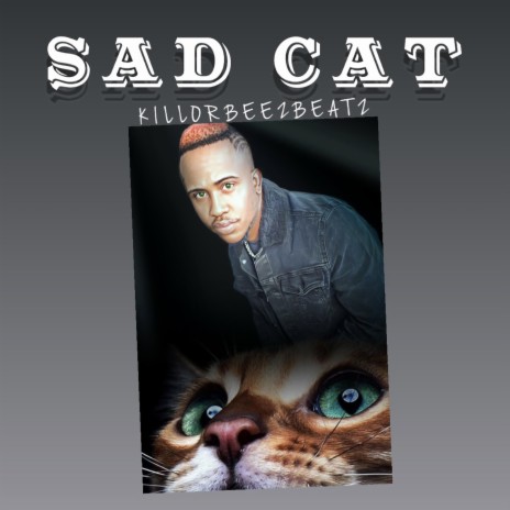 Sad Cat | Boomplay Music