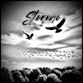 Stormo ft. Phenix lyrics | Boomplay Music