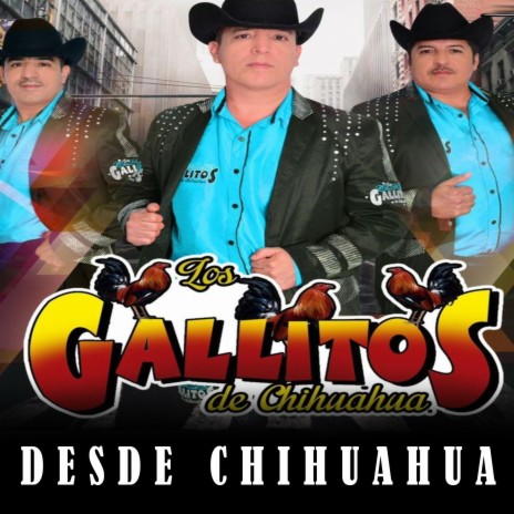 Rancheras De Los Gallitos
