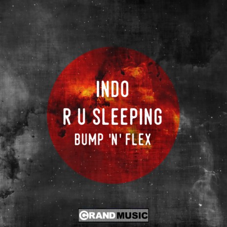 R U Sleeping (Bump N Flex Blunt Edit) | Boomplay Music