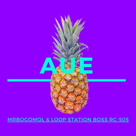 Aue ft. Loop Station BOSS RC-505 | Boomplay Music