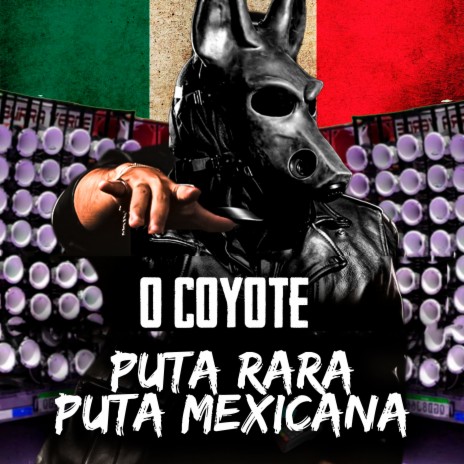 Puta Rara Puta Mexicana | Boomplay Music