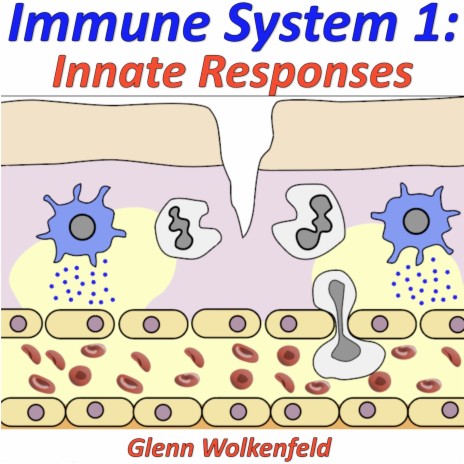 Immune System 1: Innate Responses | Boomplay Music