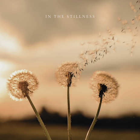 In the Stillness | Boomplay Music