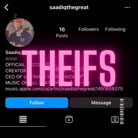 Thiefs (SaadiqStopScamming) ft. saadiqthegreat & usanga.31