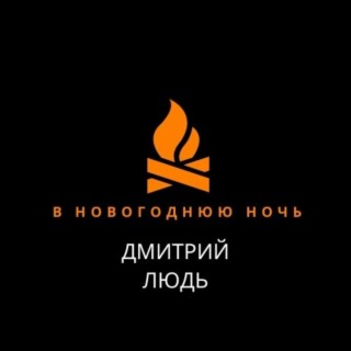 В новогоднюю ночь