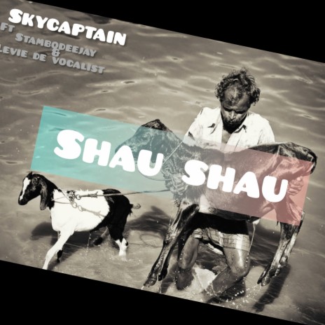 Shau Shau ft. Stambodeejay & Levie De Vocalist