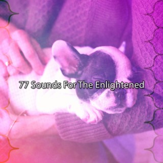 77 Sounds For The Enlightened