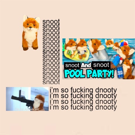 dnooty