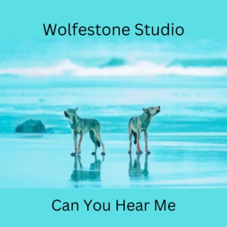 Can You Hear Me (Double Album)