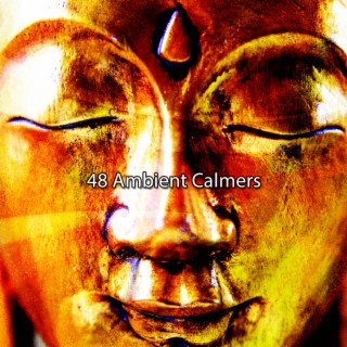 48 Ambient Calmers