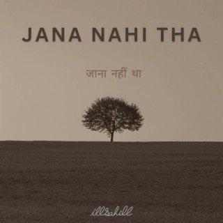 JANA NAHI THA lyrics | Boomplay Music