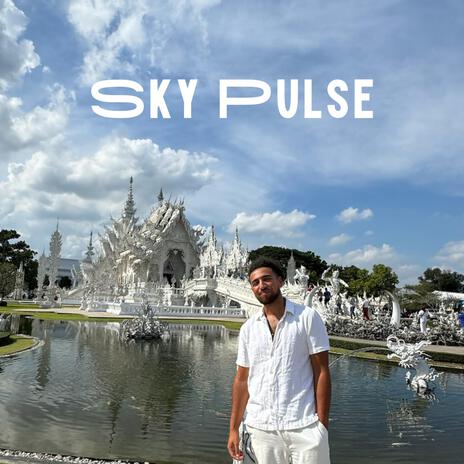 Sky Pulse | Boomplay Music